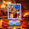 Cute Musical Lighting Showpiece 4